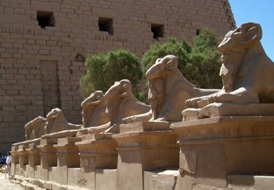 Widderstatuen am Eingang zum Luxor-Tempel