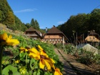 Urlaub auf dem Bauernhof im Schwarzwald